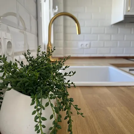 The Traveller's House Con Vistas A Playa La Caleta Appartement Cadix